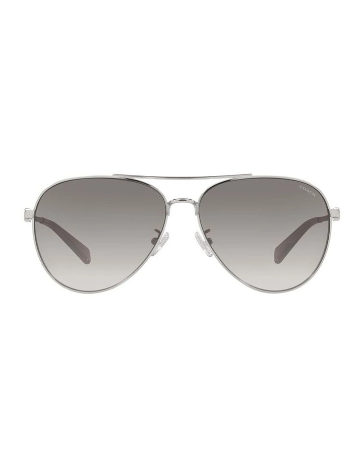 CD474 Sunglasses in Shiny Silver