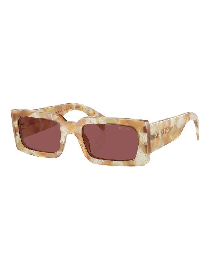 PR A07S Sunglasses in Brown