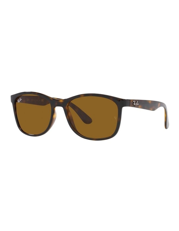 RB4374 Tortoiose Sunglasses