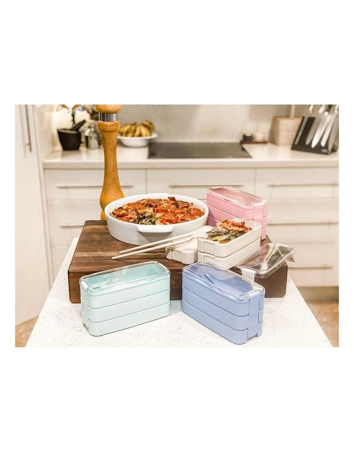 Family Pack Of 4 Bento Lunch Boxes Multicolour