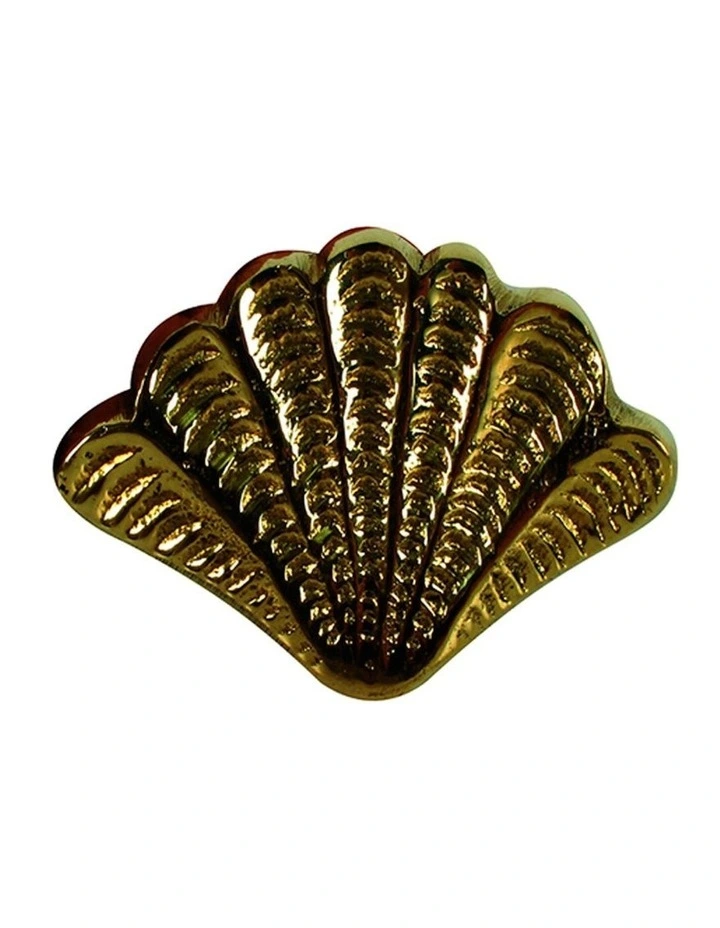 Belize Antique Brass Shell Knob 5x3cm in Gold
