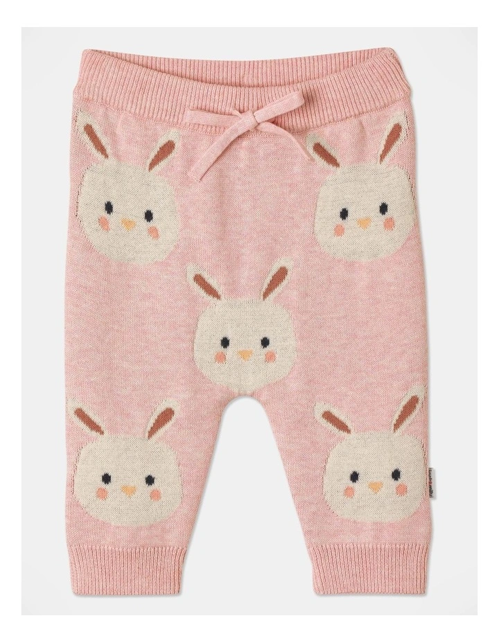 Jed Knit Pant in Pink