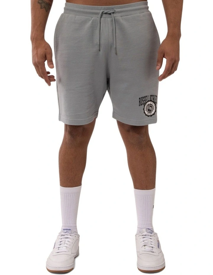 Big Seal Shorts in Concrete