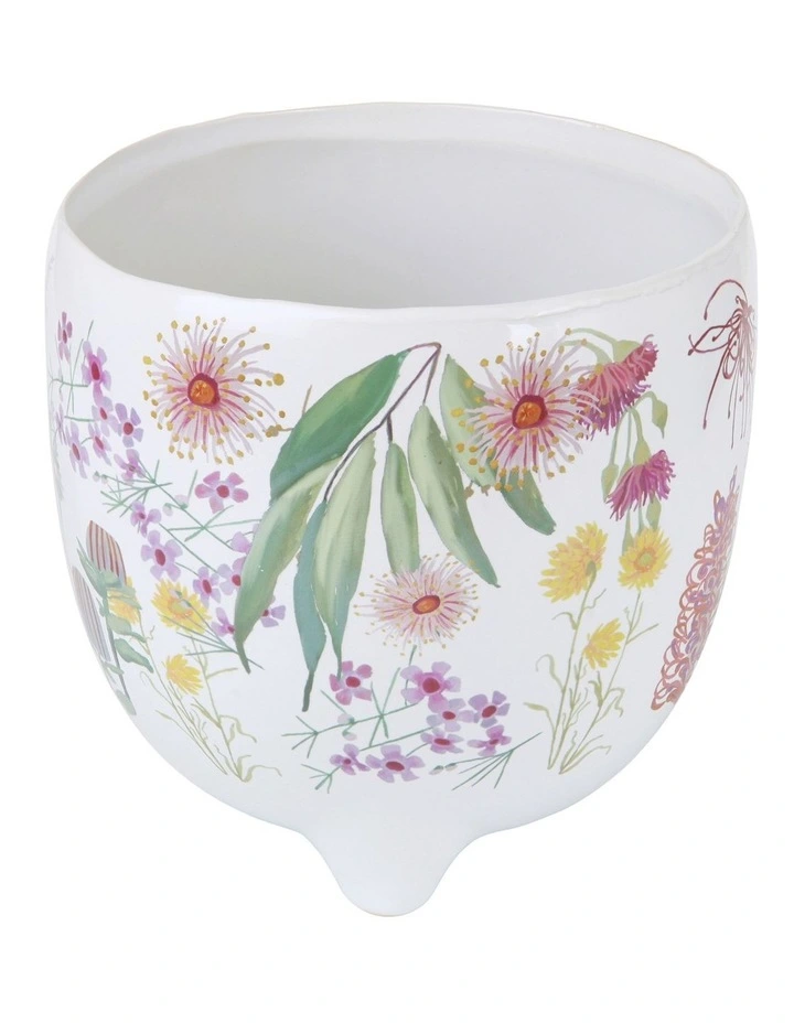 Royal Botanic Gardens Native Blooms Plant Pot 16cm in Multi