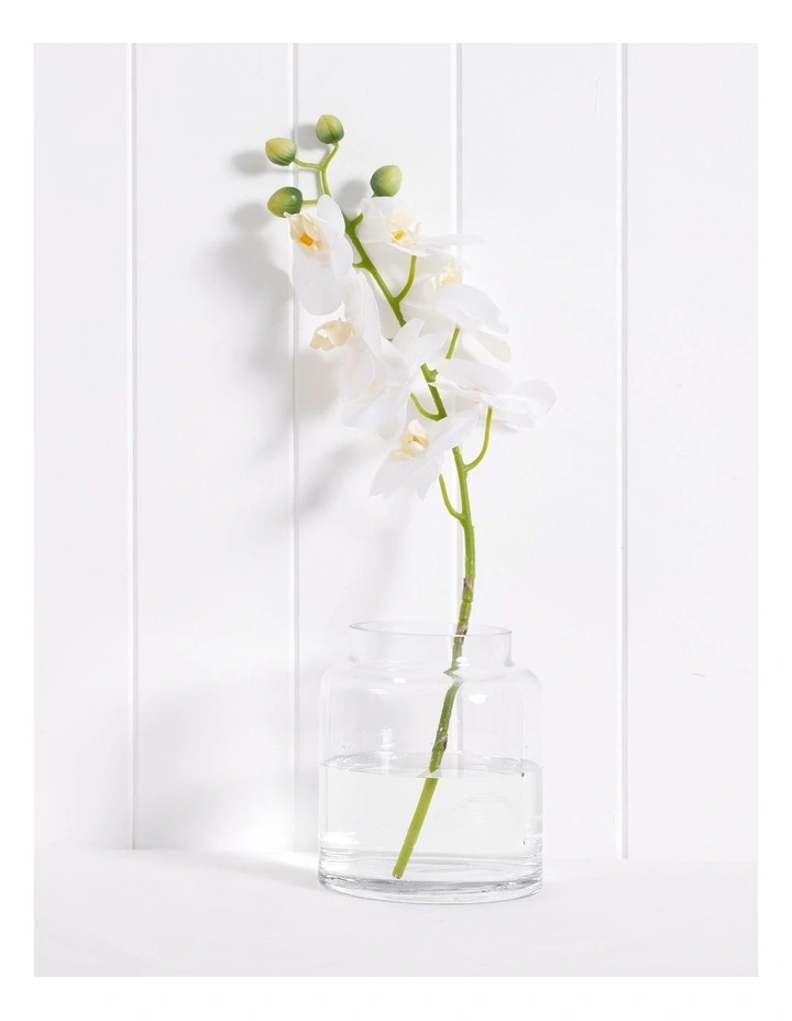 Essential Glass Chimney Vase Small 15cm in Clear