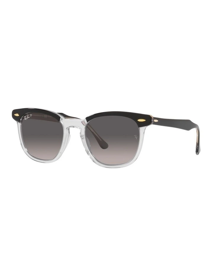 Hawkeye Black Polarised Sunglasses