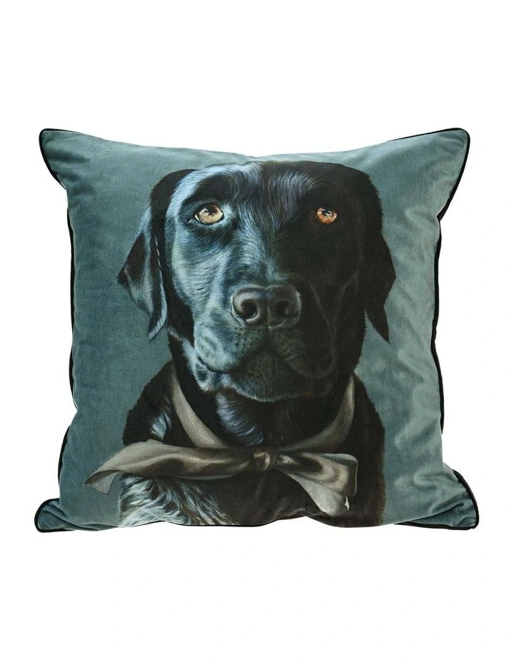 Baghi The Lab Cushion in Multi