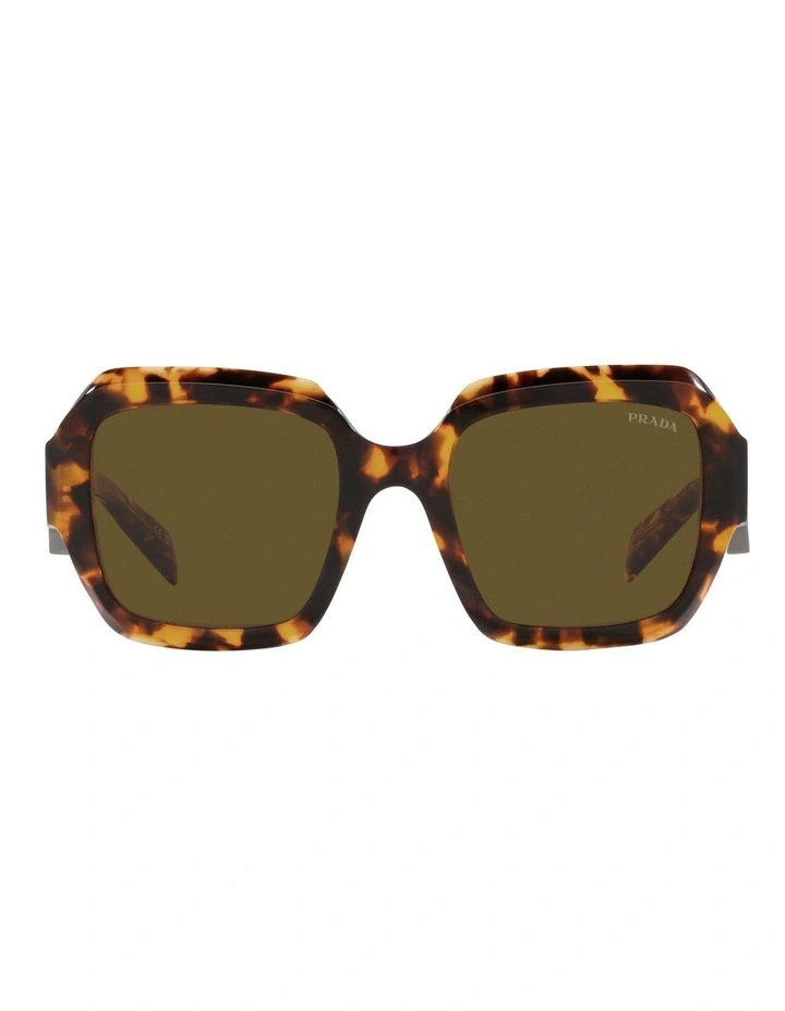 PR 28ZSF Sunglasses in Green