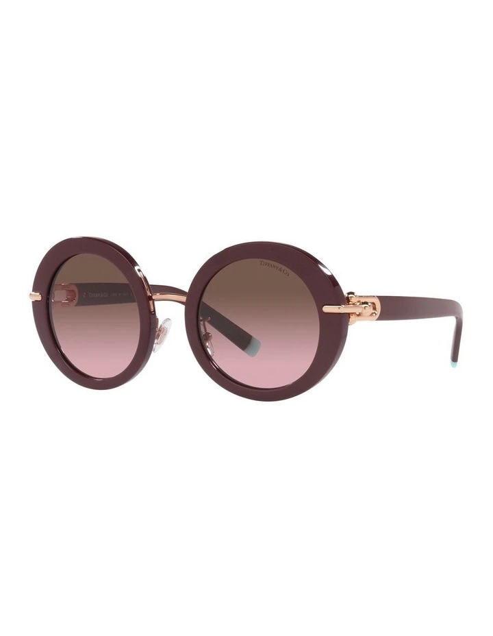 0TF4201 Sunglasses In Solid Burgundy