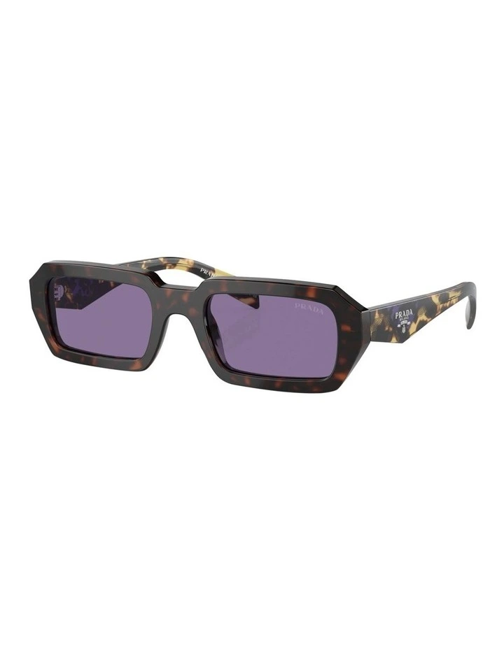 PR A12S Sunglasses in Tortoise