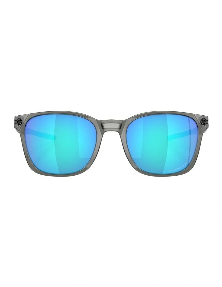 Objector Polarized Sunglasses in Grey