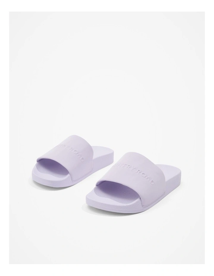 Logo Pool Slide in Lilac