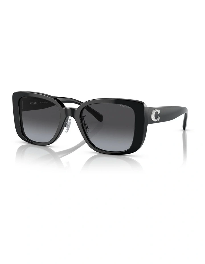 CD472 Sunglasses in Black