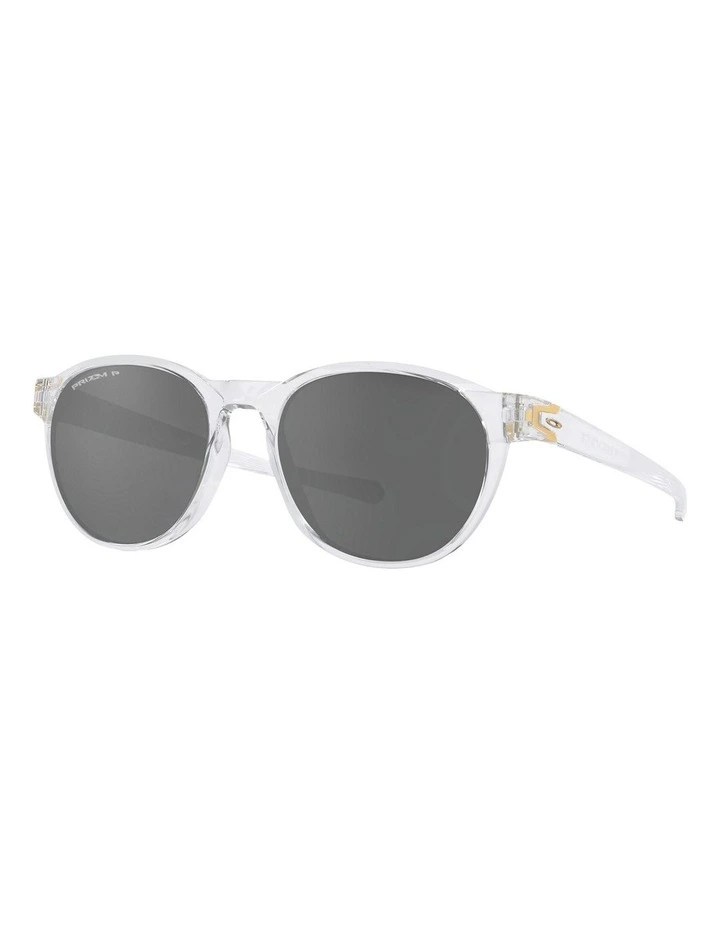 Reedmace Polarised Sunglasses in Transparent