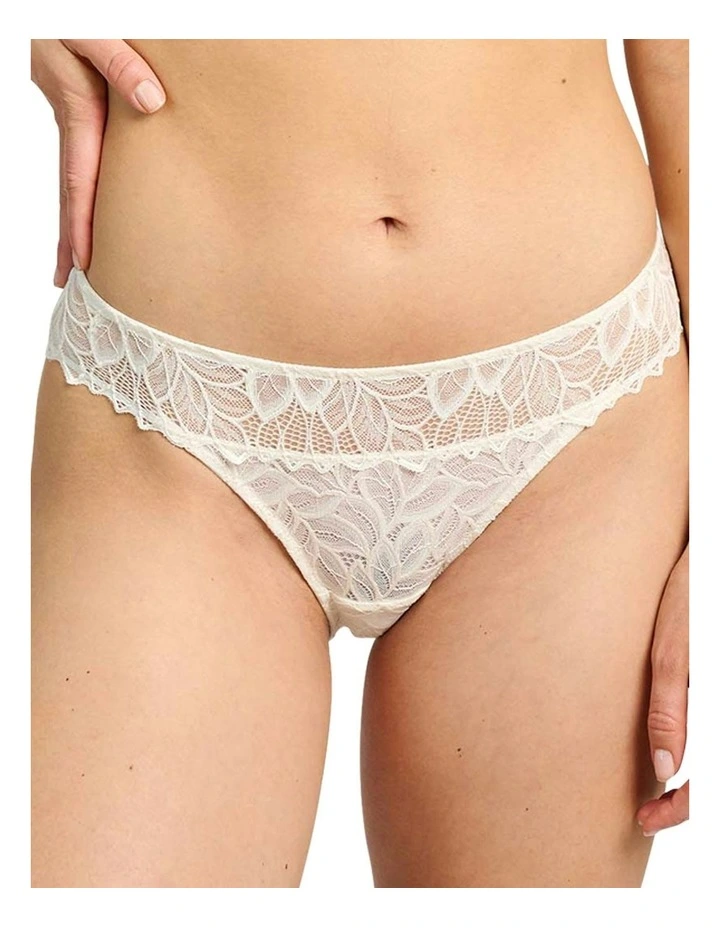 Divine Sheer Lace Hipster Brief in White