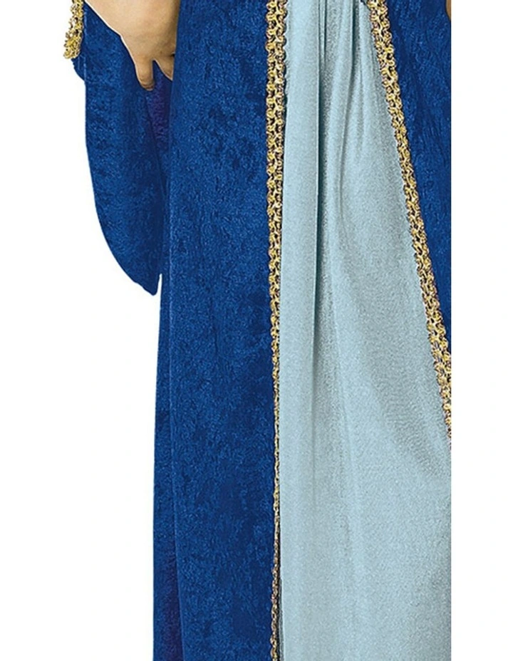 Juliet Classic Costume
