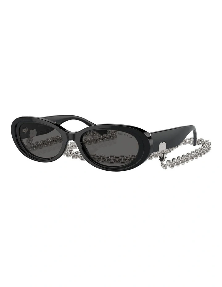 TF4221 Sunglasses in Black
