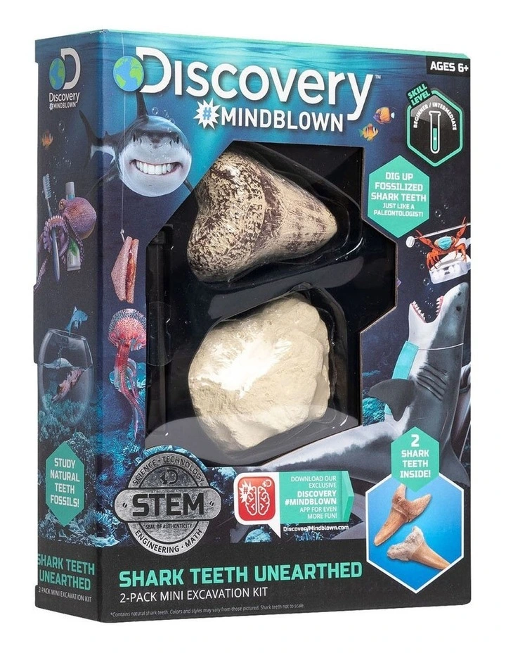 Mini Fossil Shark Teeth Dig Set 2 Pack