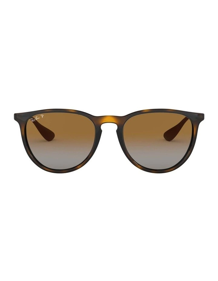 Erika Brown RB4171F Polarised Sunglasses