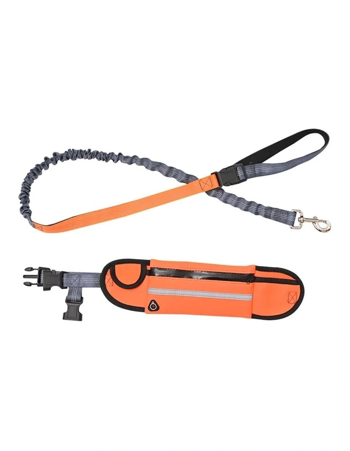 Adjustable Hands-Free Pet Leash Bag in Orange