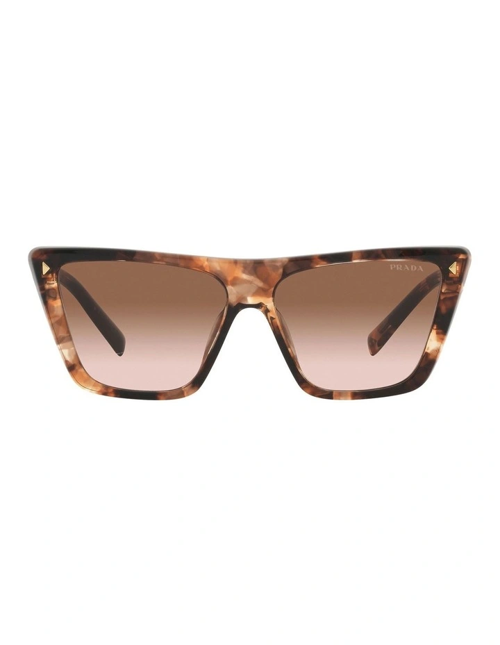 PR 21ZS Tortoise Sunglasses in Brown