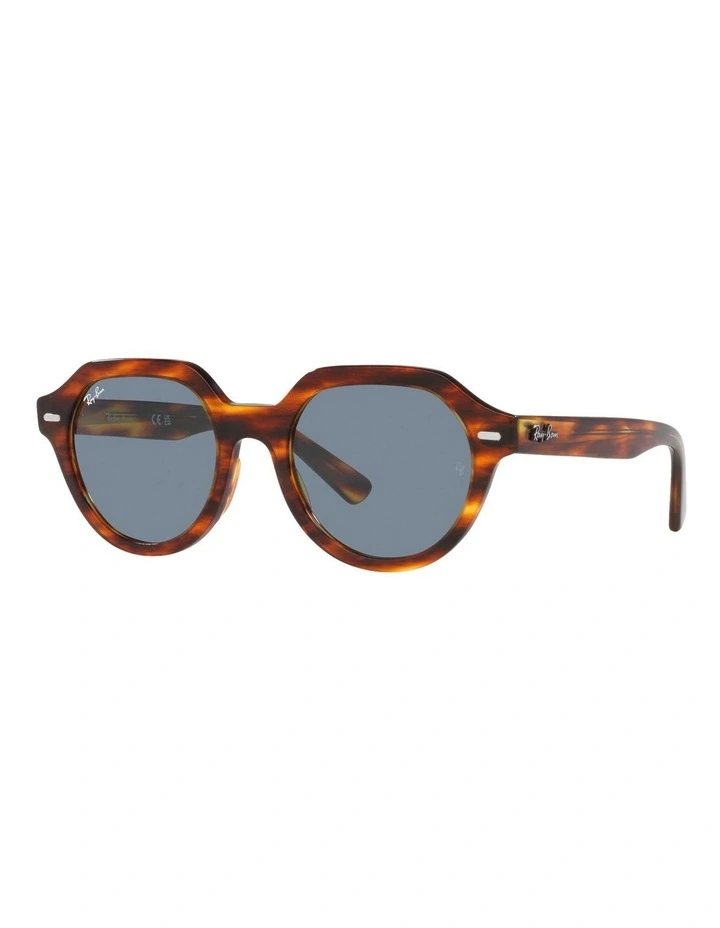 Gina Sunglasses in Brown