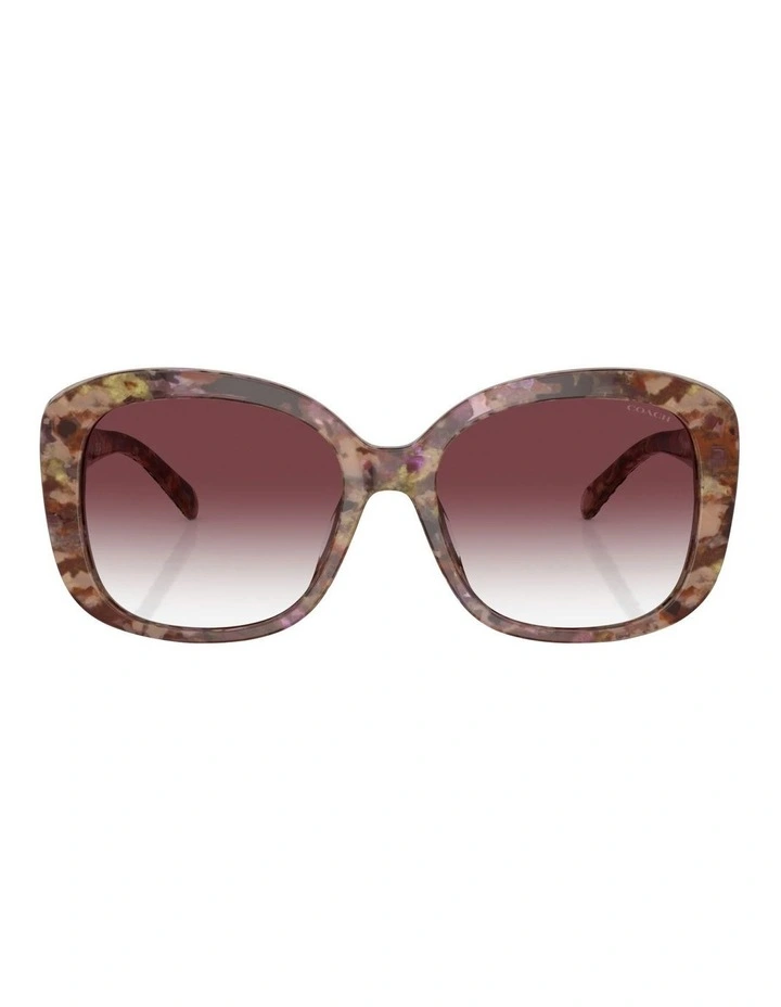 CH564 Sunglasses in Tortoise