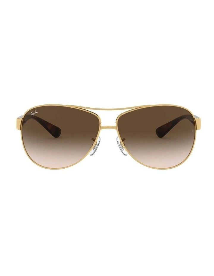 RB3386 Gold Sunglasses