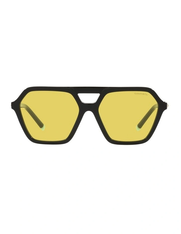 0TF4198 Sunglasses In Black