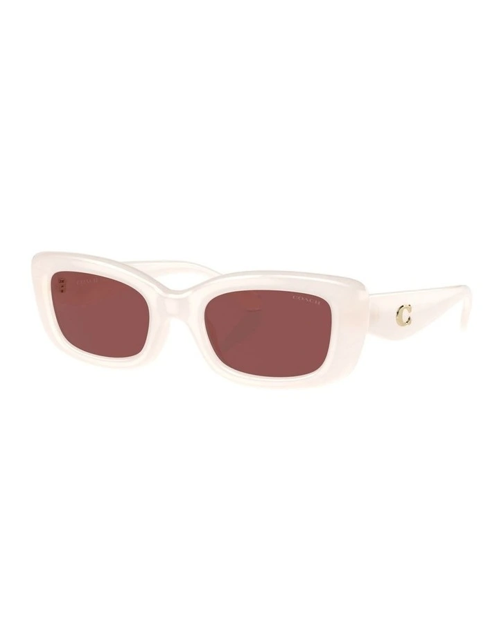 CR610 Sunglasses in White