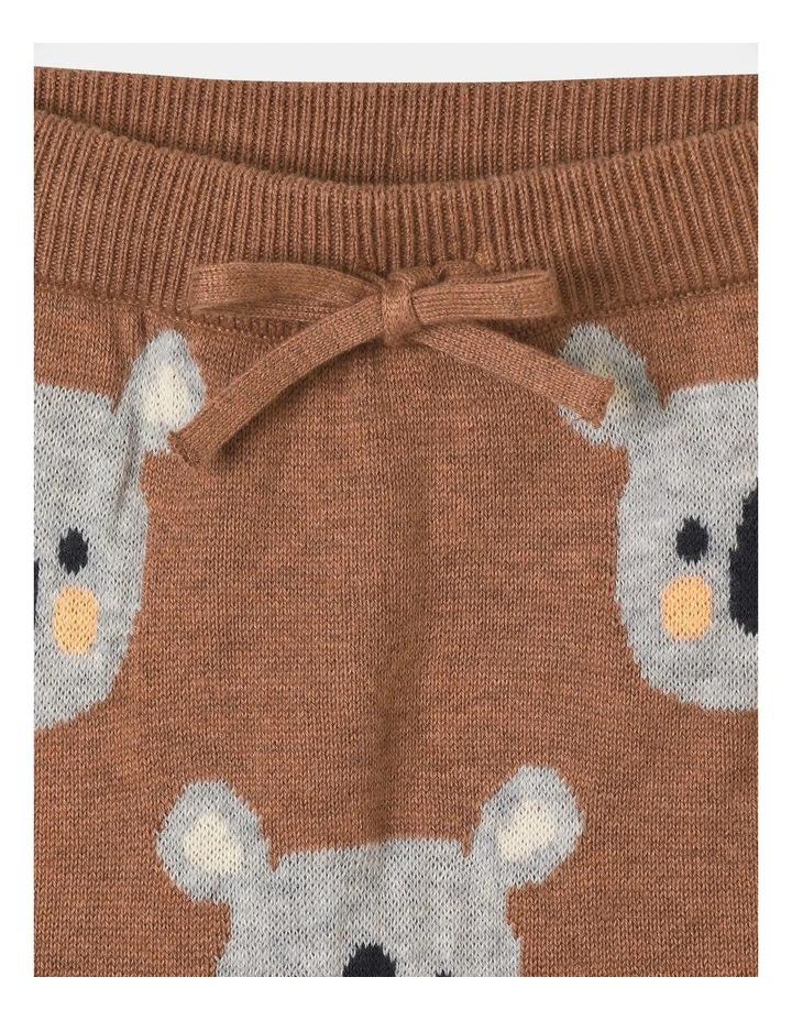 Jed Knit Pant in Brown