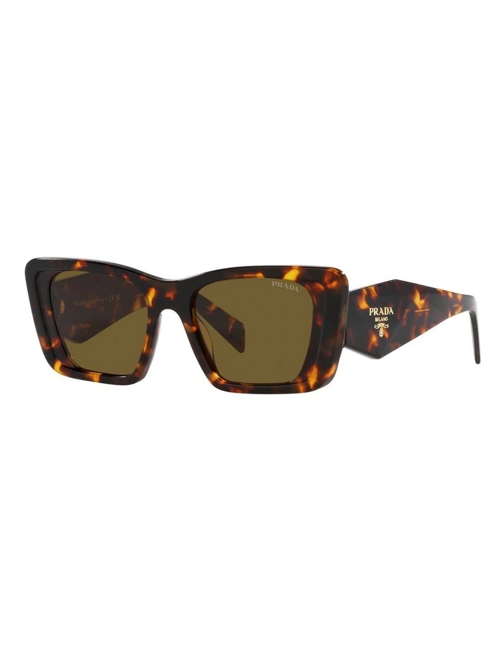Tortoise PR08YS Sunglasses in Brown