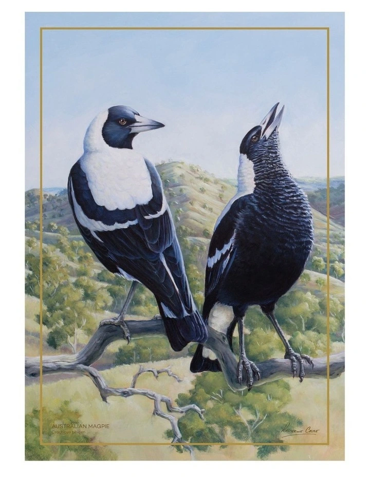 Birds of Australia Katherine Castle Tea Towel 50x70cmin Magpie Print