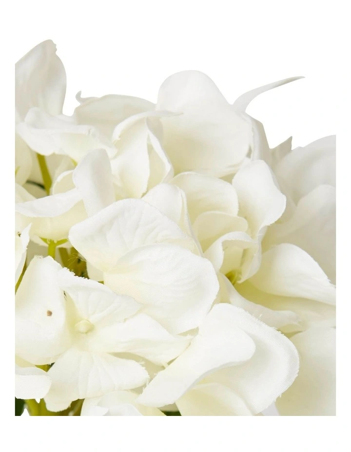 Hydrangea Alma Vase 20cm in White
