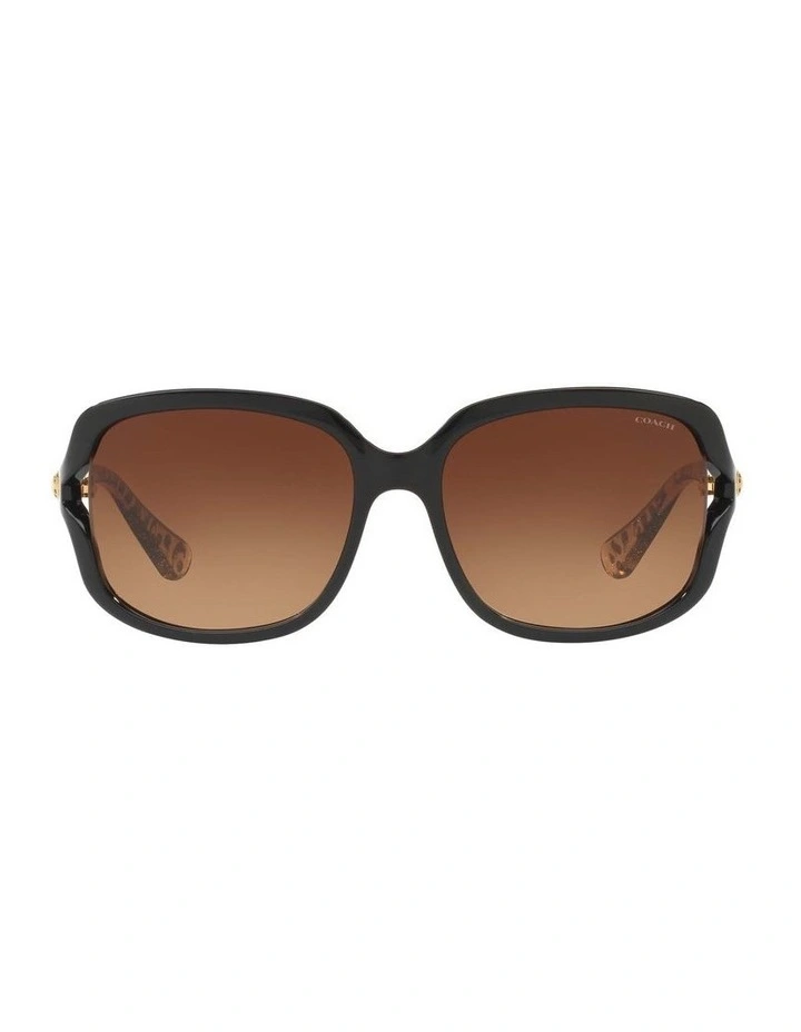 HC8169 L149 Black Sunglasses