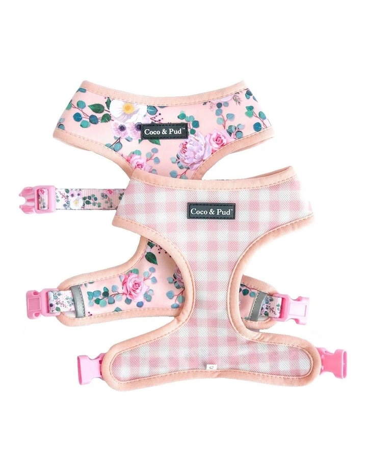 Provence Rose Dog Harness