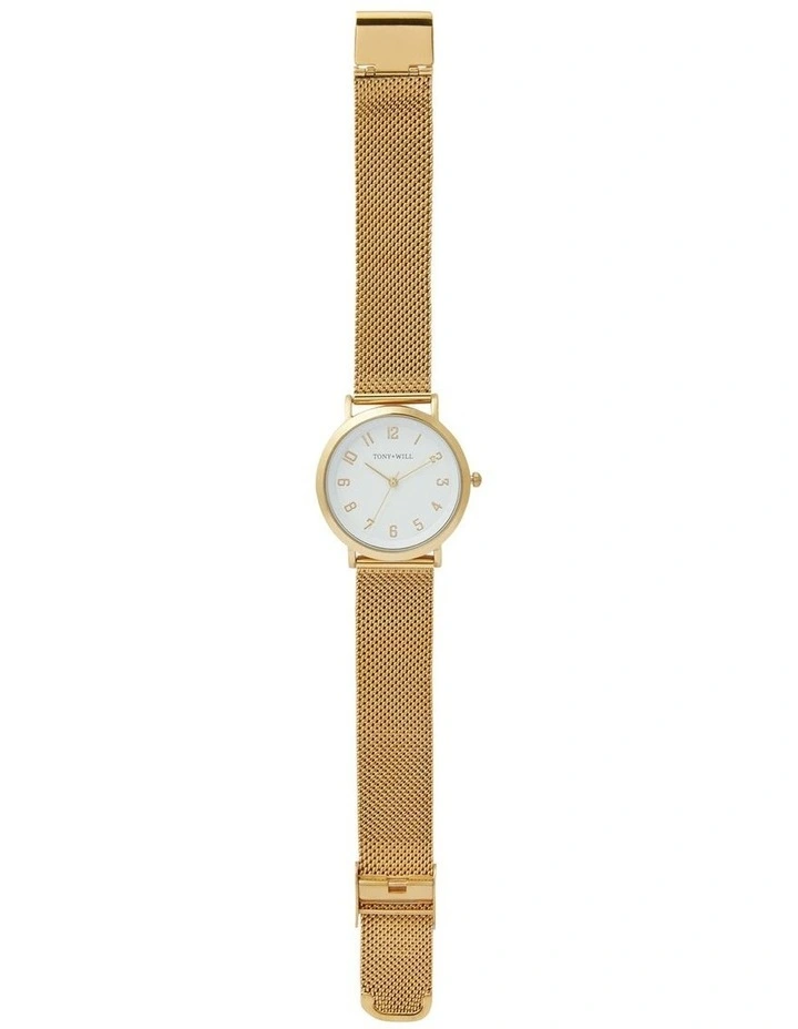 Small Astral Mesh Watch in Gold