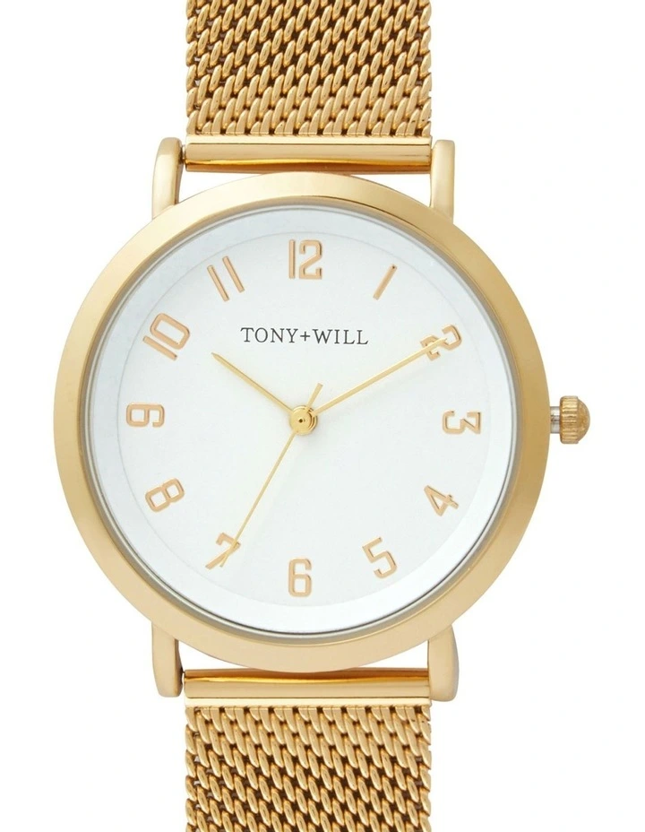 Small Astral Mesh Watch in Gold