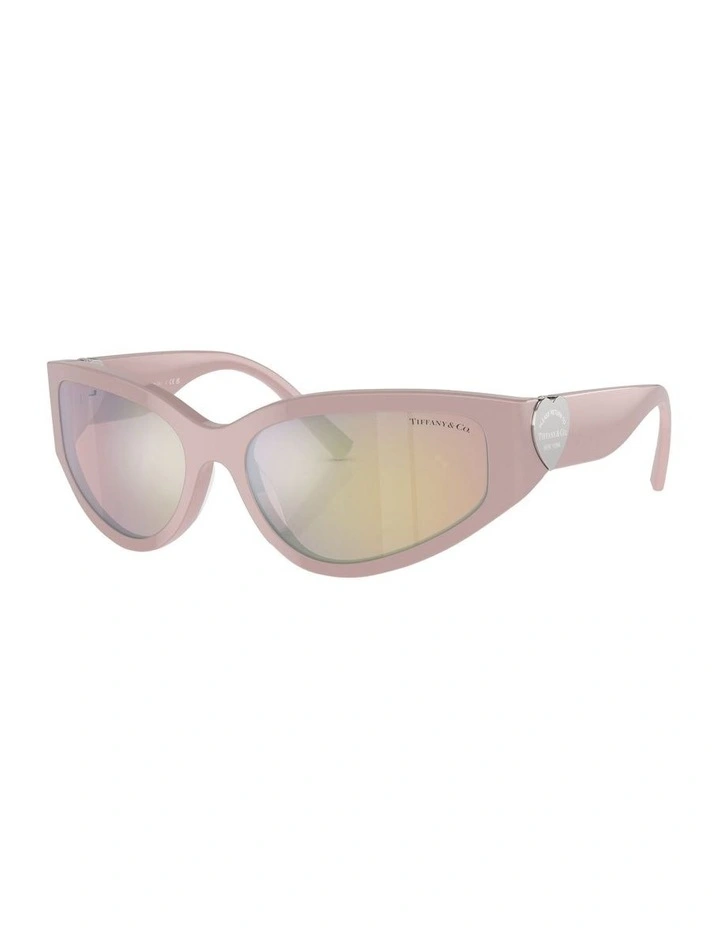 TF4217 Sunglasses in Pink
