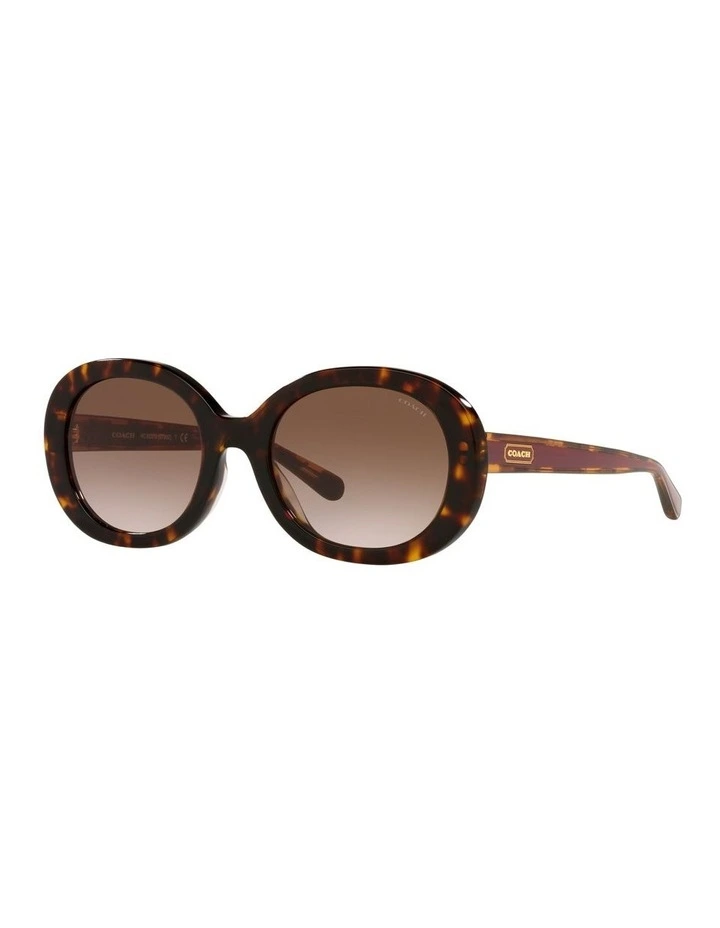 HC8337U C7992 Tortoise Sunglasses