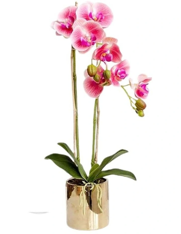 Real Touch 2 Stem Artificial pink Orchid