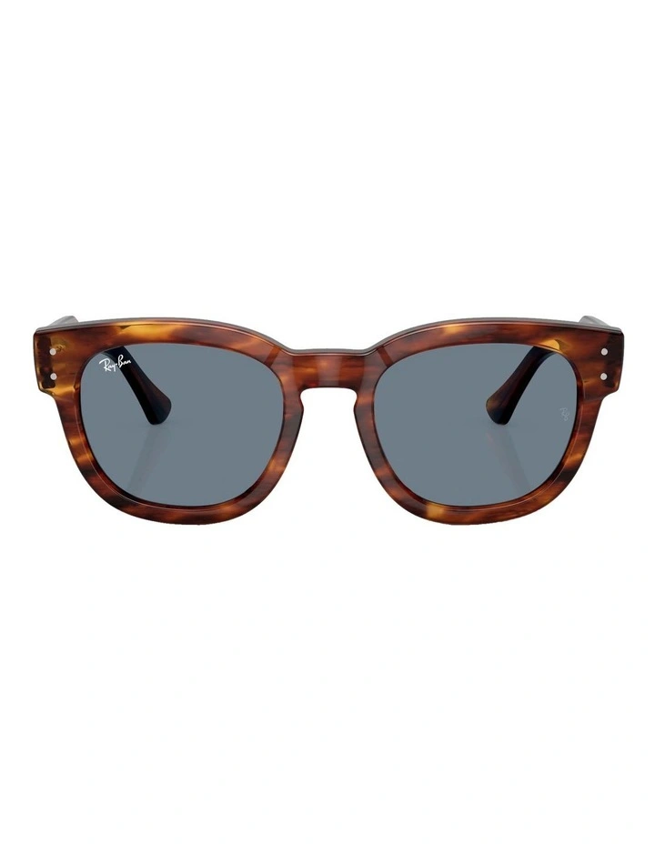 Mega Hawkeye Sunglasses in Brown