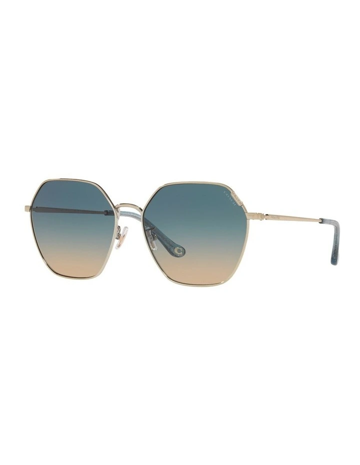 HC7132 C7998 Gold Sunglasses