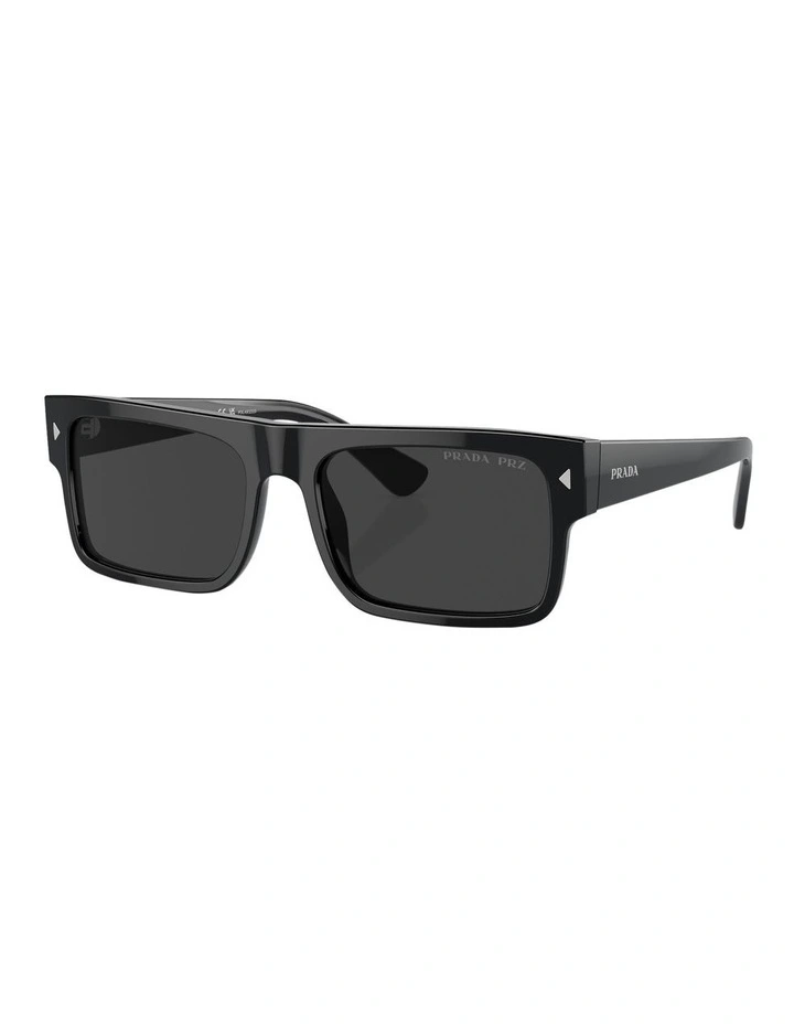 Polarised PRA10S Sunglasses in Black