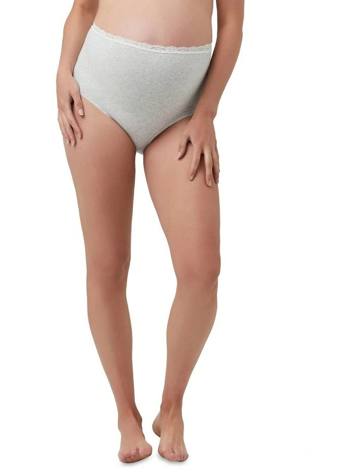 Organic Cotton Full Briefs in Silver Marle