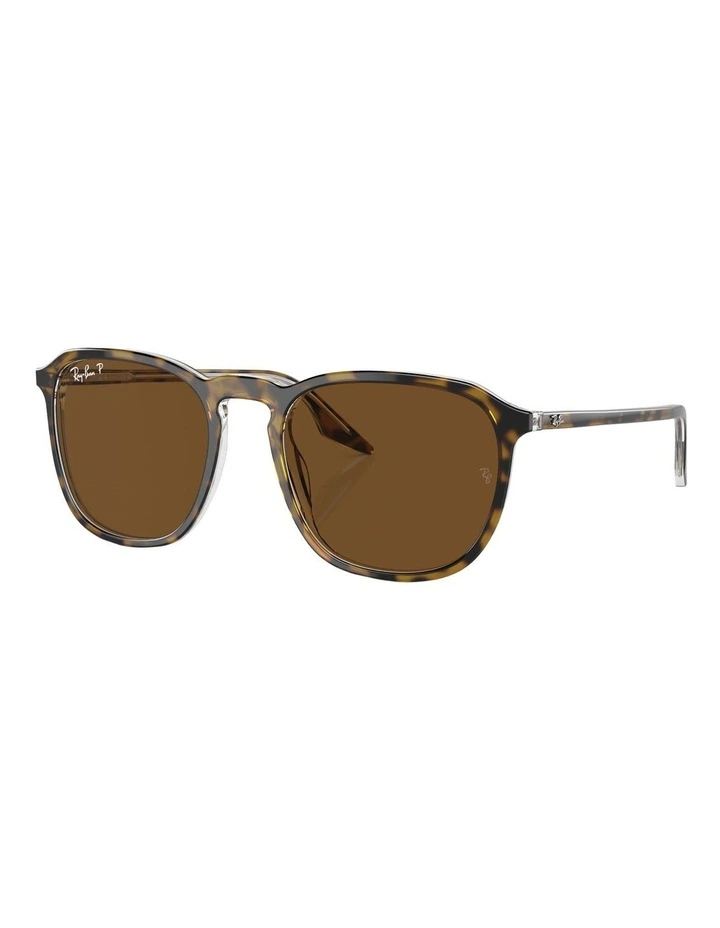 Polarised RB2203 Sunglasses in Tortoise