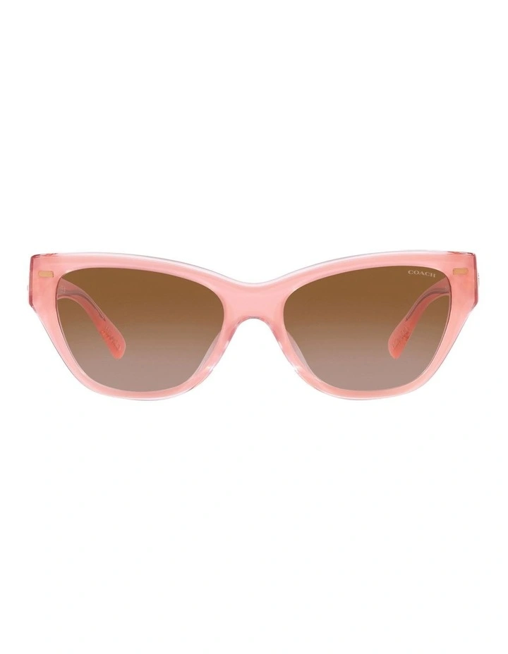 CH570 Sunglasses in Pink