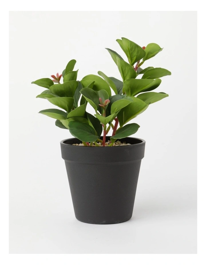 Sedum Succulent Artificial Plant 16x18x23cm in Green