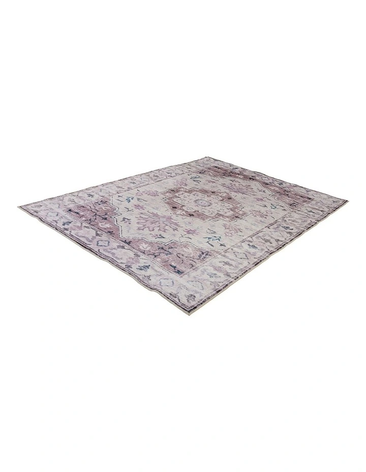 Shay Traditional Distressed Rug in Multi