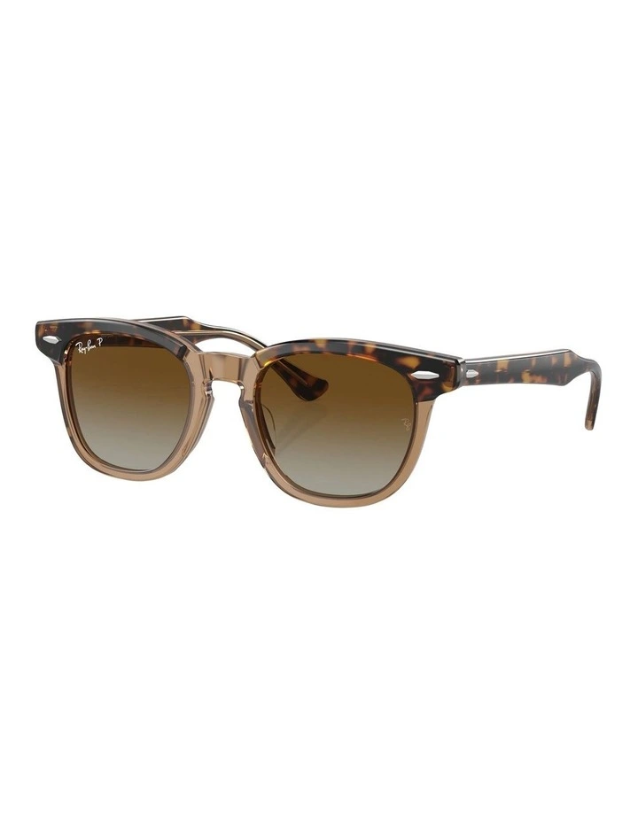 RB9098S Polarised Sunglasses in Brown